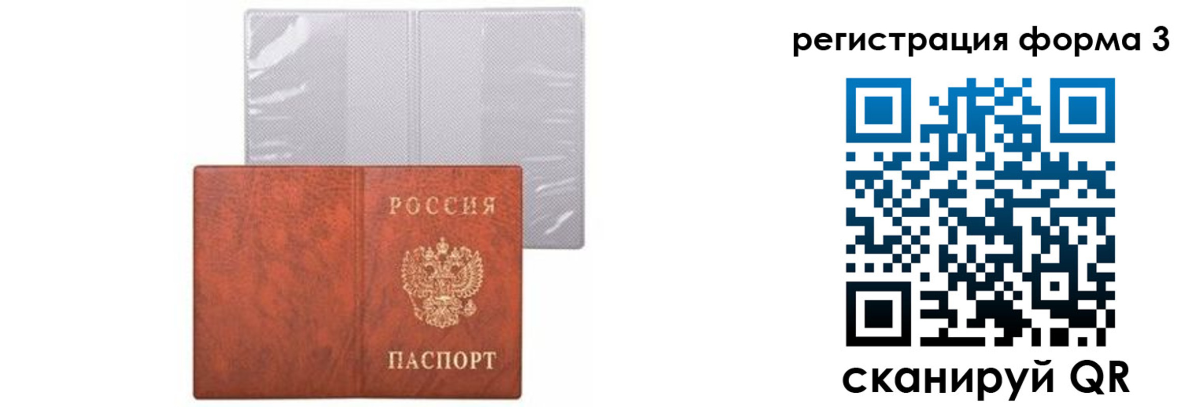 прописка 2025 в Новоузенске